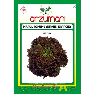 Kırmızı Kıvırcık Marul Tohumu 5 Gram