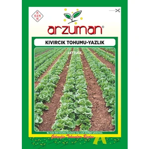 Yazlık Kıvırcık Marul Tohumu 10 Gram