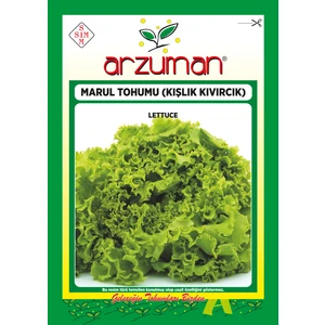Kışlık Kıvırcık Marul Tohumu 10 Gram