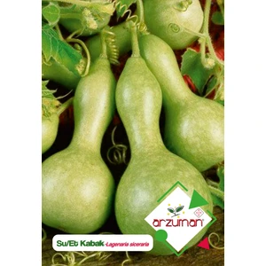 Su - Et Kabağı (Lagenaria  Siceraria) Çiçek Tohumu 5 Adet