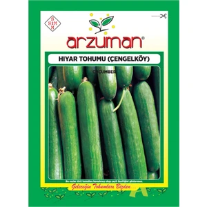 Salatalık Tohumu (10 Gr) Çengelköy