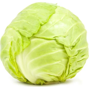 Murat Tohum Süper Paket Beyaz Meşhur Yalova Lahanası Tohumu 900 Adet Tohum