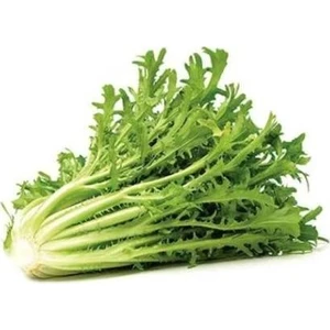 Murat Tohum Süper Paket Nadir Hindiba Tohumu Hindibağı Tohumu 400 Adet Tohum