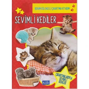 Sevimli Kediler -