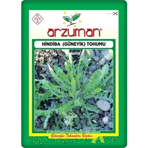 Hindiba/güneyik Tohumu (5 Gr)
