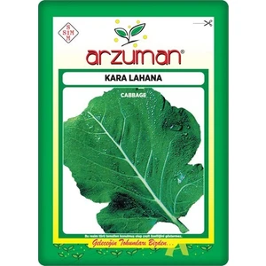 Kara Lahana Tohumu (10 Gr)