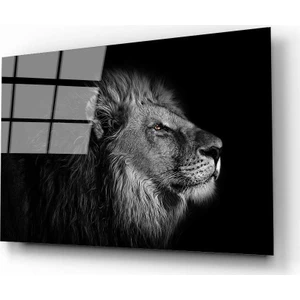 Aslan 6 Cam Tablo