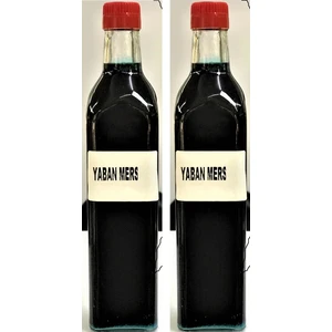Saruhanlı Birlik Yabanmersini  Özü 1 E 3 Konsantre 720 gr 2 Li Set 2*720