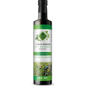 Gökçek Şifa Yaban Mersini Mix Extract 250 ml.