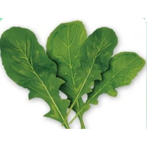 Ege Tarım Tere Tohumu