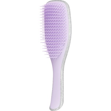 Tangle 2024 teezer silver