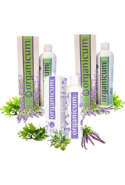 Organicum Lavanta Saç Bakım Şampuanı x 2 li ve Aktif Saç Kremi