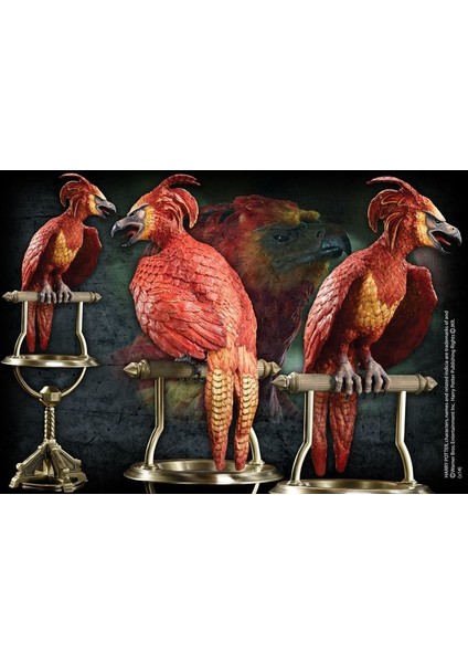 Harry Potter Fawkes The Phoenix Statue modelleri