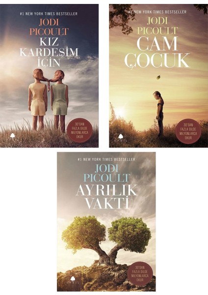 Kız Kardeşim İçin - Cam Çocuk - Ayrılık Vakti - Jodi Picoult - 3 Kitap