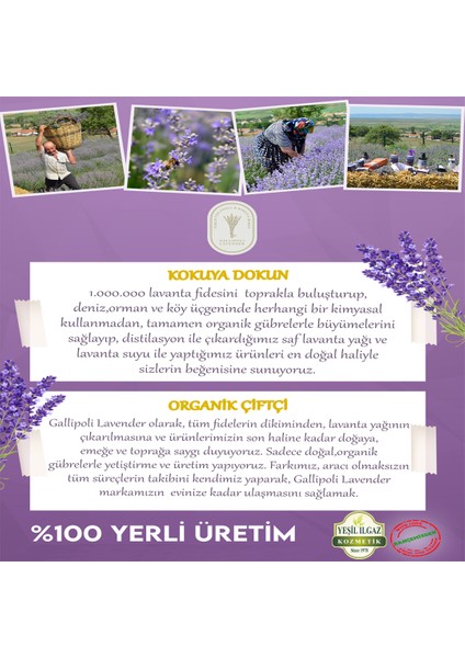 Lavanta Yağlı Bebek Şampuanı 250 ml Katkısız Saf Rahatlatıcı Lavanta Yağlı Bebek Şampuanı fiyatları