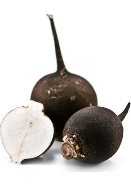 30 Adet Tohum Siyah Turp Tohumu Kara Turp Siyah Turp Tohumu