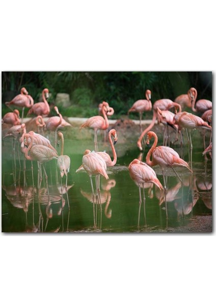 Ahşap Tablo Gölde Flamingolar