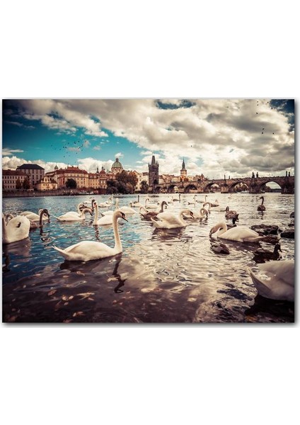 Ahşap Tablo Prag Charles Köprüsü ve Kuğular