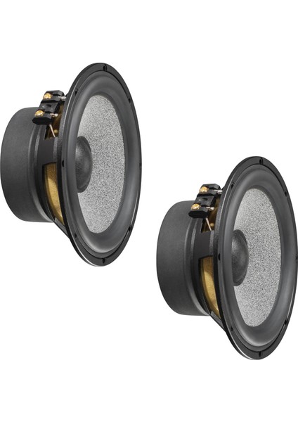 Graphic Gl6 165MM High-End Woofer Seti