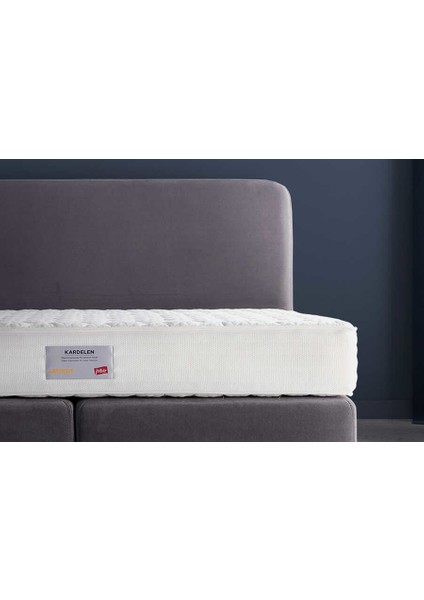 Işbir Yatak Kardelen Süper Ergonomik Pu Lateksit Yatak 200X200