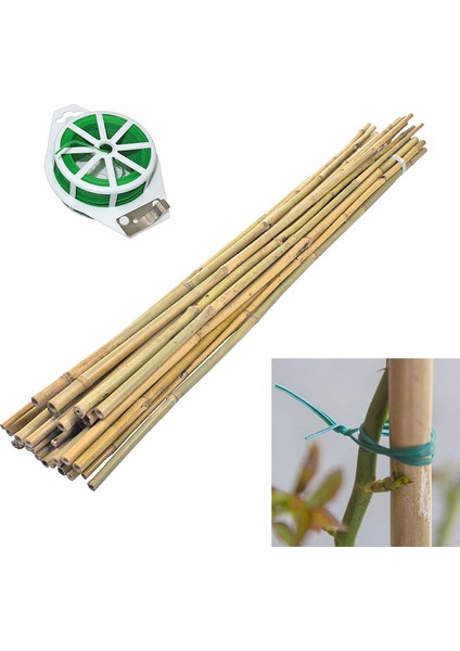 Bambu 10'lu Bitki Destek Çubuğu 90CM+30 mt Bitki Bağlama Ipi fiyatları