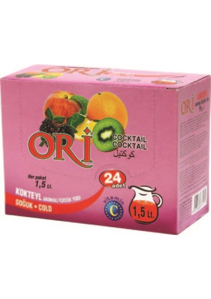 Kokteyl Aromalı Soğuk Içecek Tozu 9 gr x 24