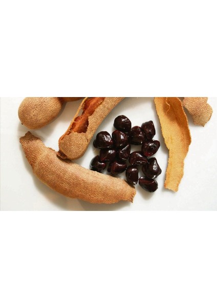 Ithal Tropikal Demirhindi Sweet Tamarind Demir Hindi Meyvesi Tohumu 3 Tohum fiyatları