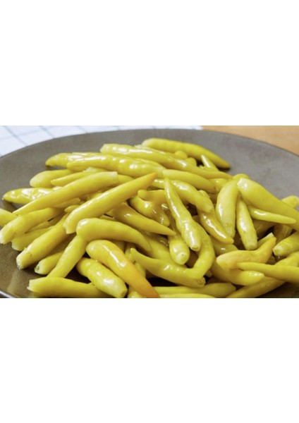 Sarı Stone Turşuluk Biber Tohumu Ekim Seti 15 Tohum Saksı Toprak Kombin fiyatları