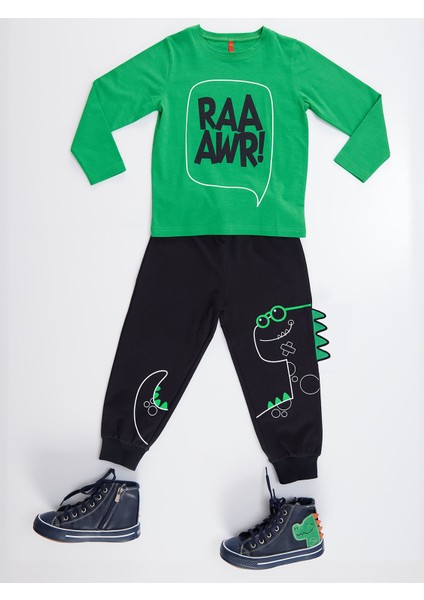 Tırtırlı Dino Erkek Çocuk Pantolon Takım modelleri