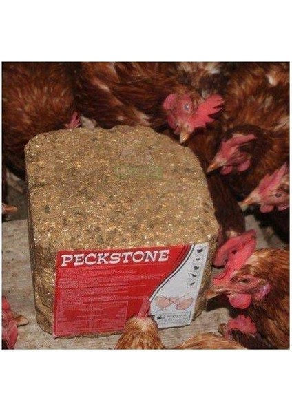 Royal Avian Peckstone Gagalama Mineral Taşı 4 kg