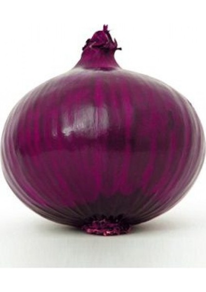 100 Tohum Yerli Mor Soğan Tohumu Ata Tohum Kırmızı Soğan Tohumu Sürpriz Hediye Tohumludur