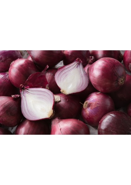 100 Tohum Yerli Mor Soğan Tohumu Ata Tohum Kırmızı Soğan Tohumu Sürpriz Hediye Tohumludur fiyatları