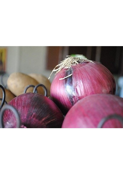 100 Tohum Yerli Mor Soğan Tohumu Ata Tohum Kırmızı Soğan Tohumu Sürpriz Hediye Tohumludur modelleri