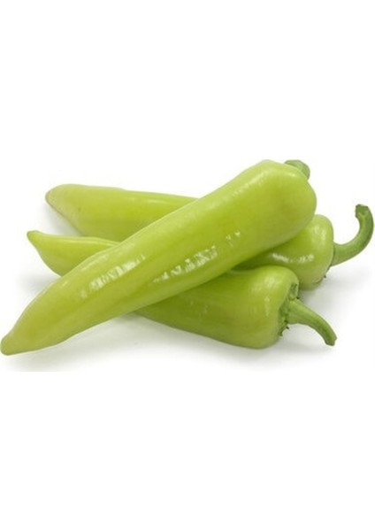 Murat Tohum Eko Paket Tatlı Çarliston Biber Tohumu 150 Tohum