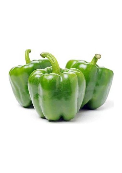 Murat Tohum Eko Paket Tatlı Kandil Dolmalık Biber Tohumu 65 Tohum