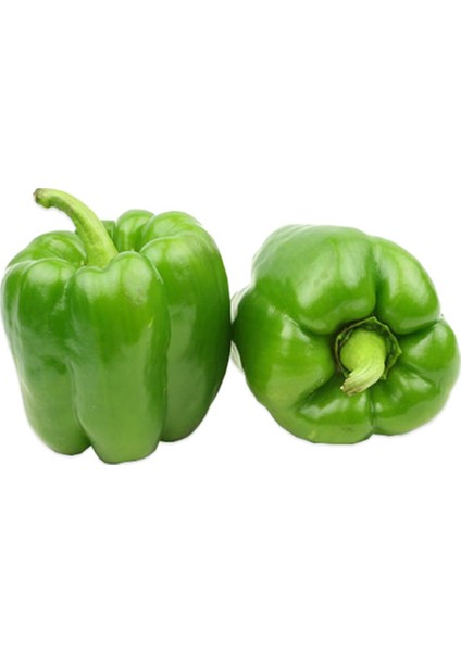 Murat Tohum Eko Paket Tatlı Kandil Dolmalık Biber Tohumu 65 Tohum fiyatları