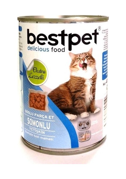 Somonlu Yetişkin Kedi Konservesi 400GR 6'lı modelleri