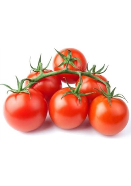 10 Tohum Eko Paket Nadir Ithal Çeri Cherry Domates Saksı Toprak