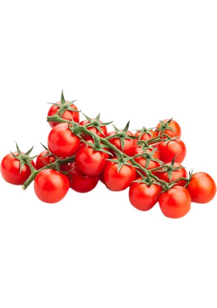 10 Tohum Eko Paket Nadir Ithal Çeri Cherry Domates Saksı Toprak fiyatları