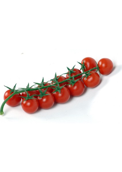 10 Tohum Eko Paket Nadir Ithal Çeri Cherry Domates Saksı Toprak modelleri