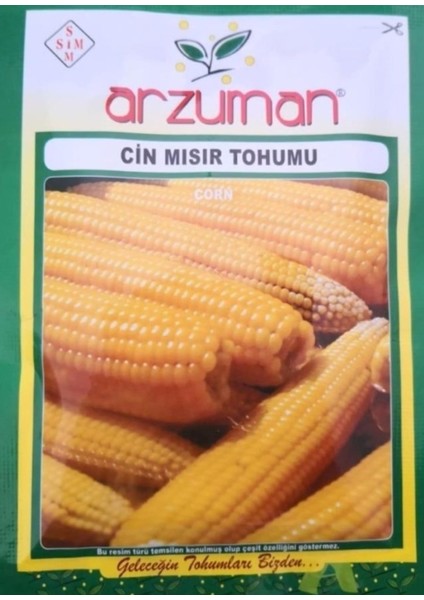 Patlayan Mısır (Cin Mısır) Tohumu 25 gr