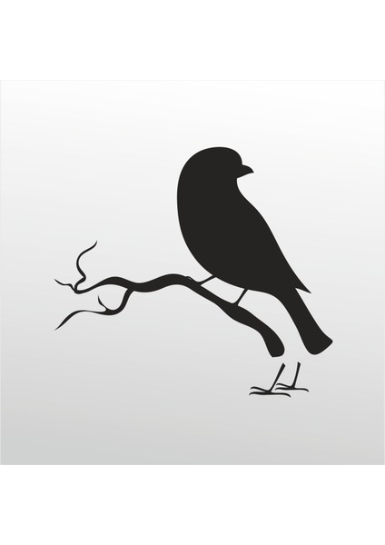 Folyo Sticker Kuş 101