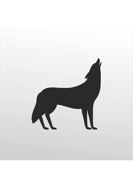 Folyo Sticker Kurt 101