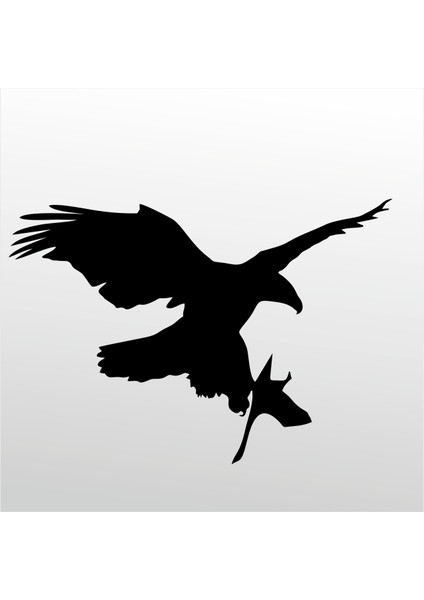 Folyo Sticker Kartal 110