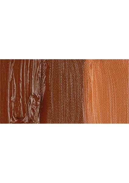 : Artists' : Yağlı Boya : 150 ml : Burnt Sienna