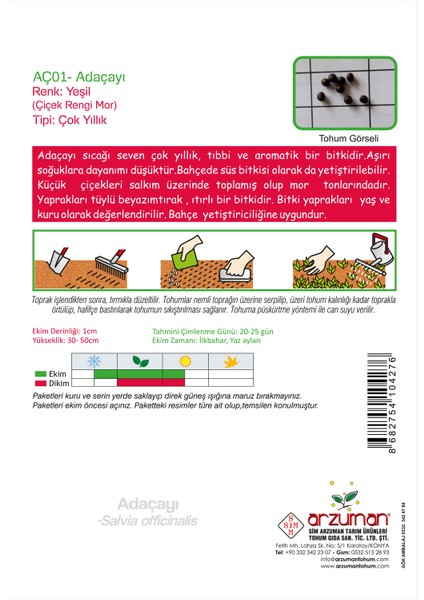 Adaçayı (Salvia Officinalis) Çiçek Tohumu 50 Adet fiyatları