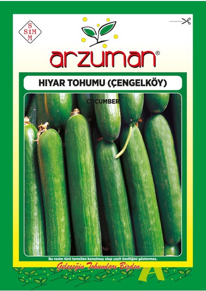 Çengelköy Tipi Hıyar Tohumu 10 Gram