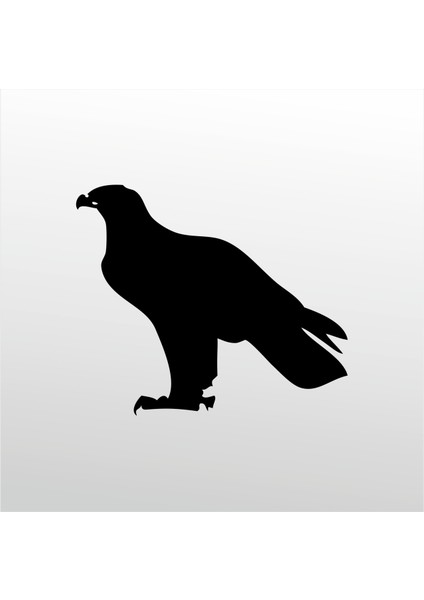 Folyo Sticker Kartal