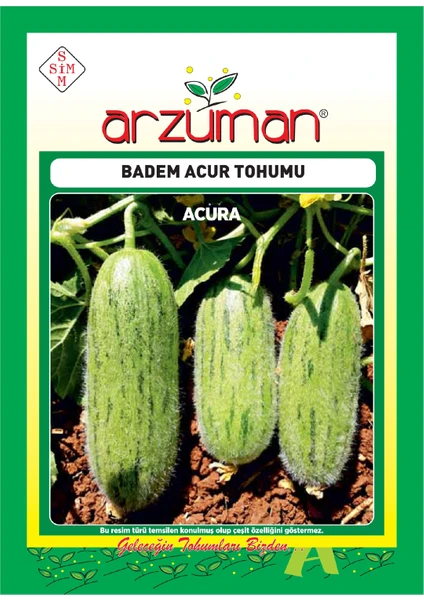 Badem Acur Tohumu 10 Gram