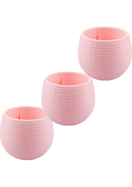 3 'lü - 147 Sahra Saksı No-5 01.30 Lt